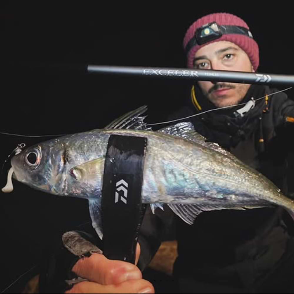 DAIWA 25 Exceler 802 XHFS 244cm 20–60g