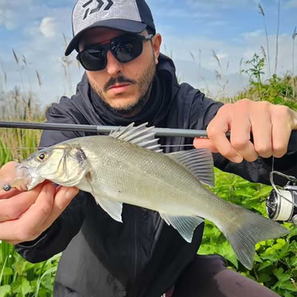 DAIWA 25 Exceler 802 XHFS 244cm 20–60g