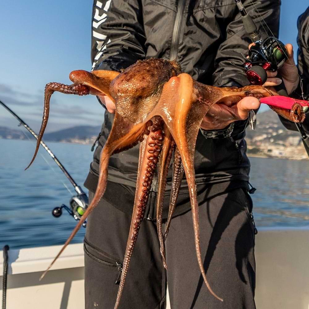 DAIWA Fune XT 150PL-OP