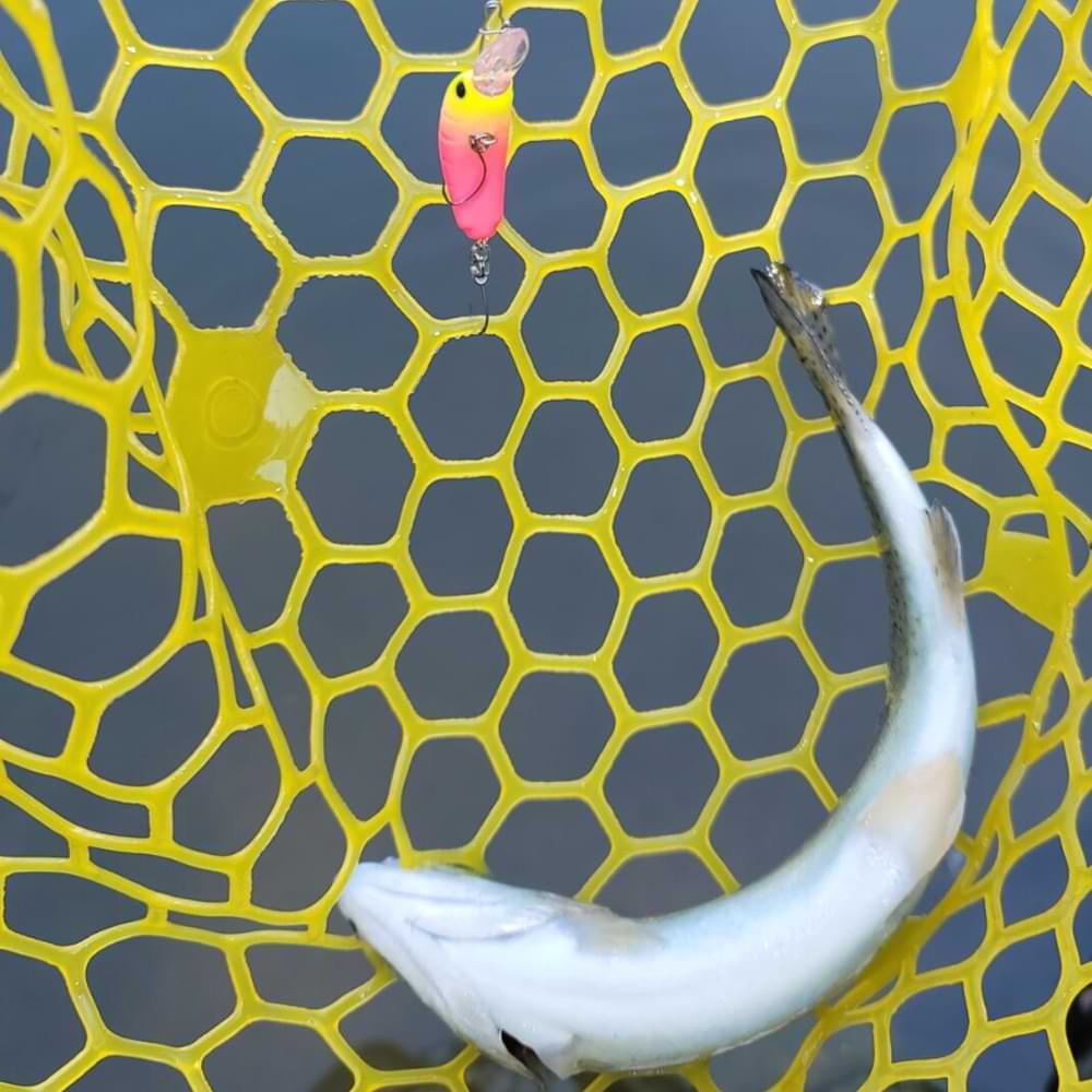 DAIWA Masuno Imomushi 30mm 1.9g Floating