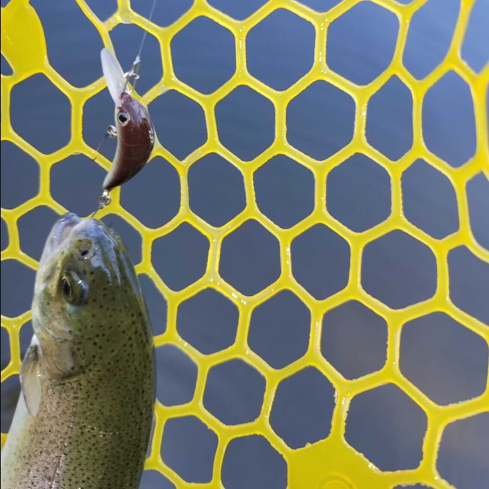 DAIWA Masuno Imomushi 30mm 1.9g Floating