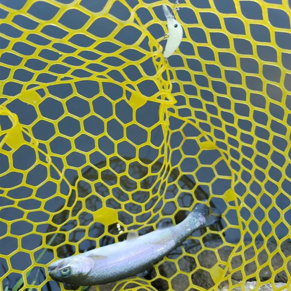 DAIWA Masuno Imomushi 30mm 1.9g Floating