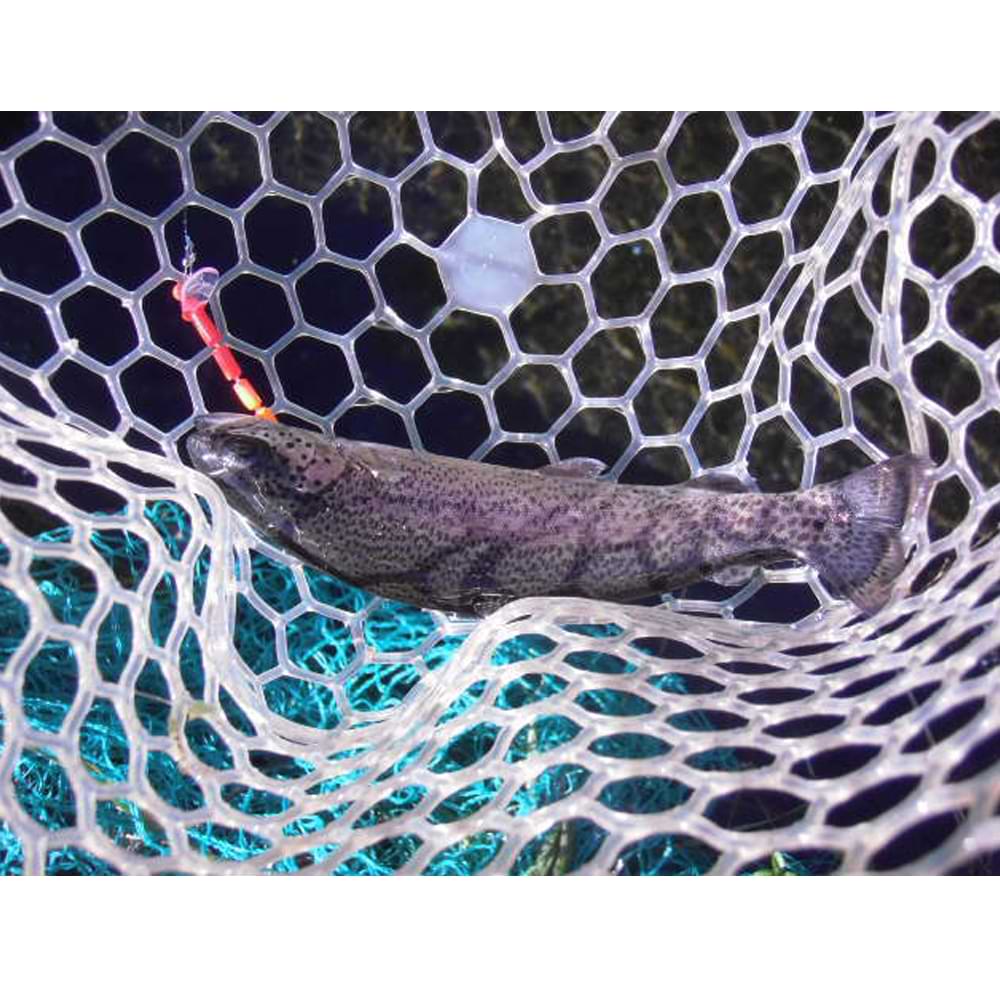 DAIWA Masu No Koeda 60mm 1.5g Sinking