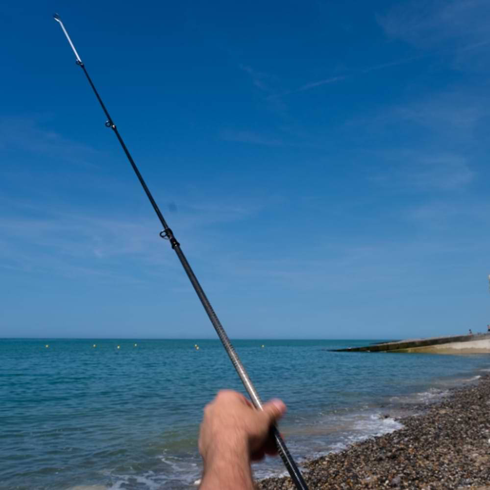 DAIWA Proteus Surf Tele 360cm 50 - 100g