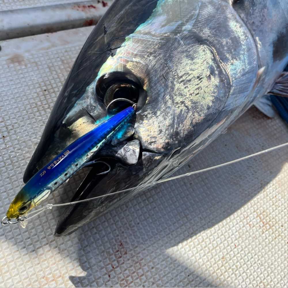 DAIWA Sawarash 110HS 110mm 35g Heavy Sinking