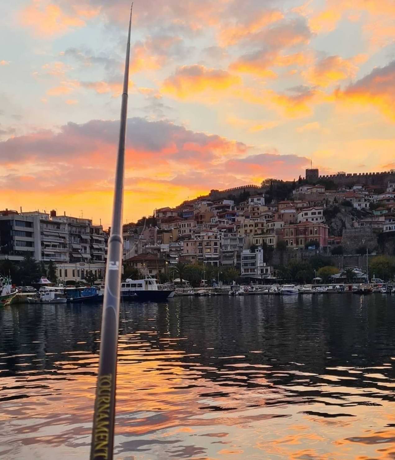 DAIWA Tournament AGS Limited 70 Regular Bolo