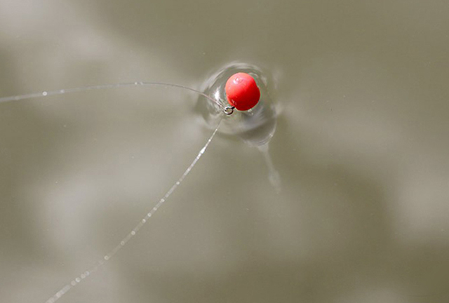 DRENNAN Crystal Dibber