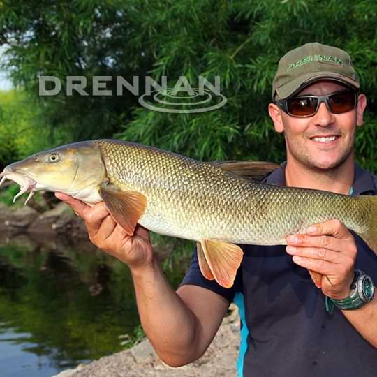 DRENNAN Specimen Plus Hooks