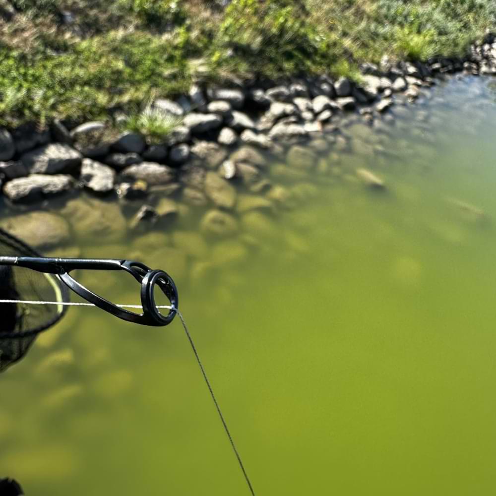 DRENNAN Acolyte Bait Up Rod 10ft