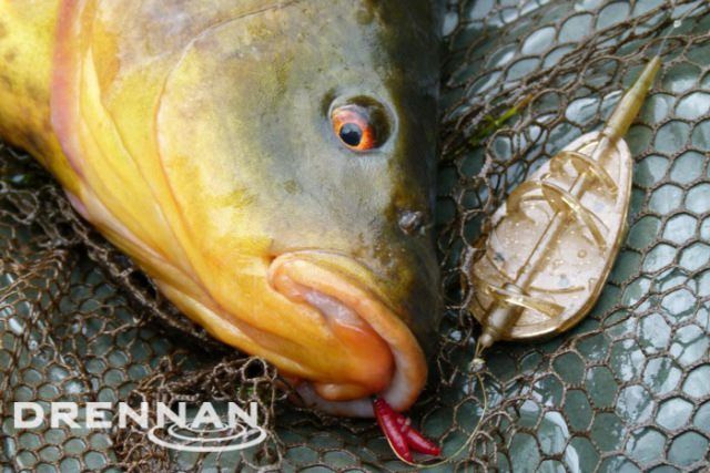 DRENNAN Flat Feeder and Mould Small