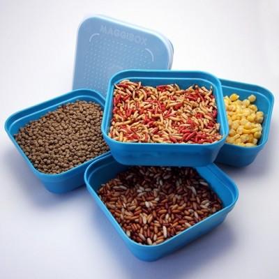 DRENNAN Maggiboxes Aqua