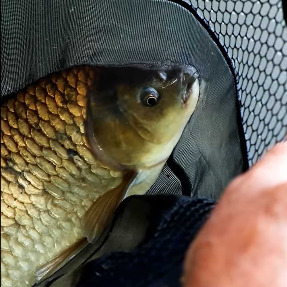 DRENNAN Acolyte Carp Mixed Mesh Landing Net 51cm