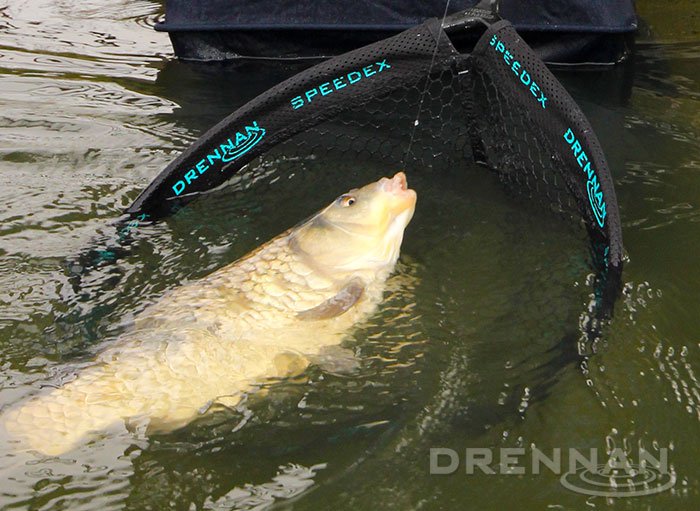 DRENNAN Speedex Landing Net 51cm