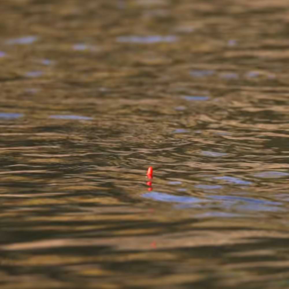 DRENNAN Titanium Trotter