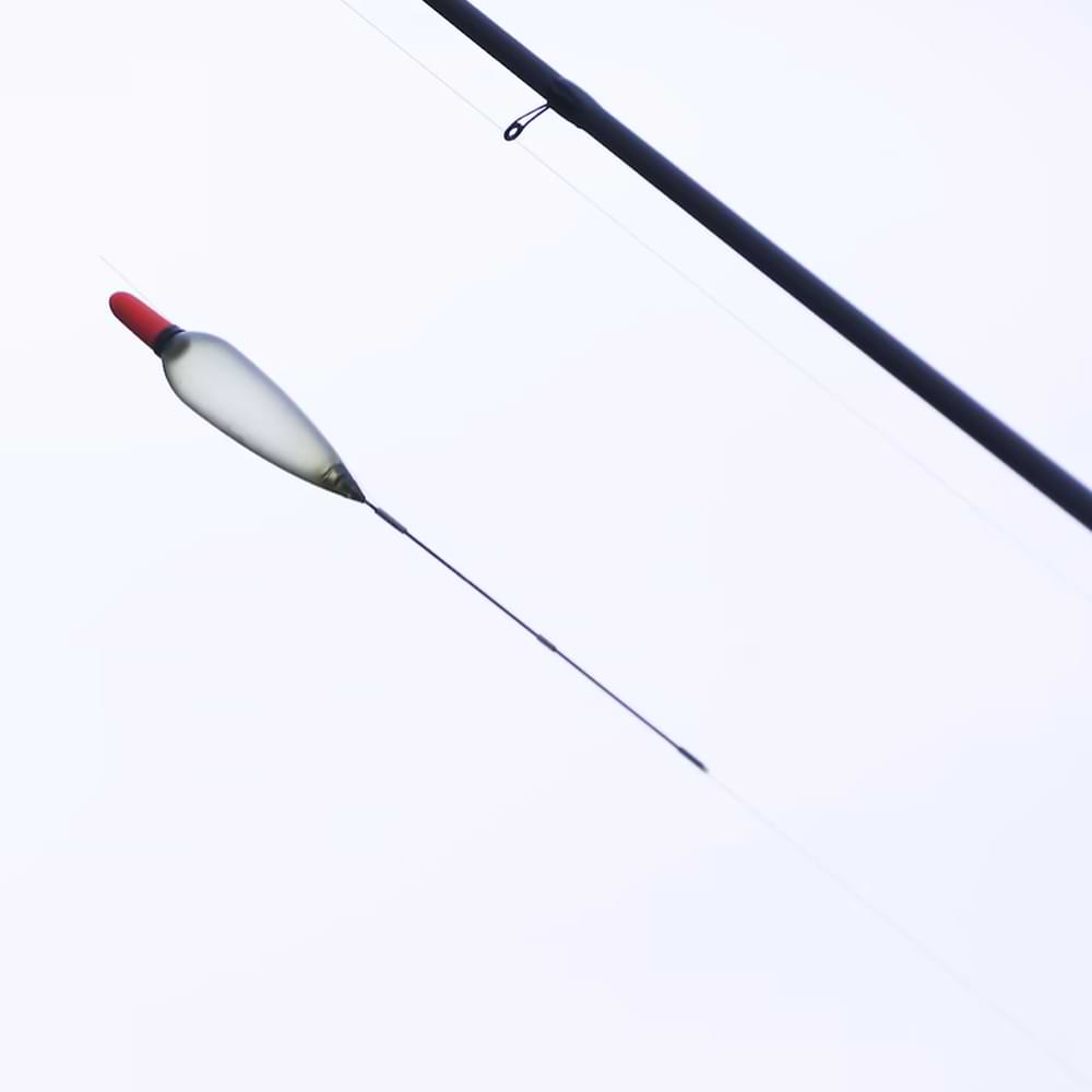 DRENNAN Titanium Trotter