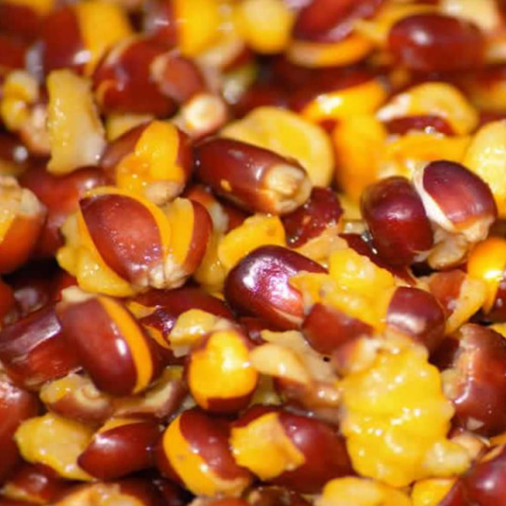 DYNAMITE BAITS CarpTec Particles Corn Mix 1L