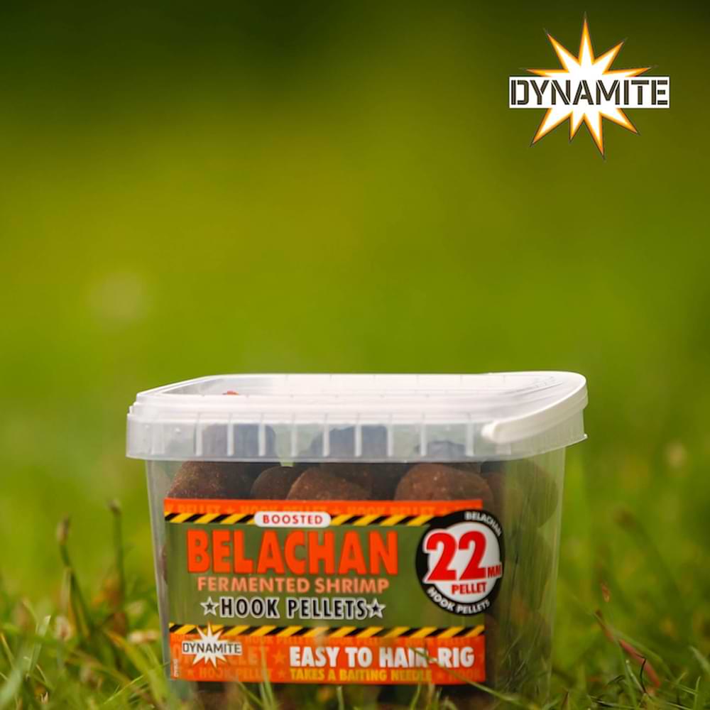 DYNAMITE BAITS Belachan Catfish Hook Pellets 22mm & 30mm 