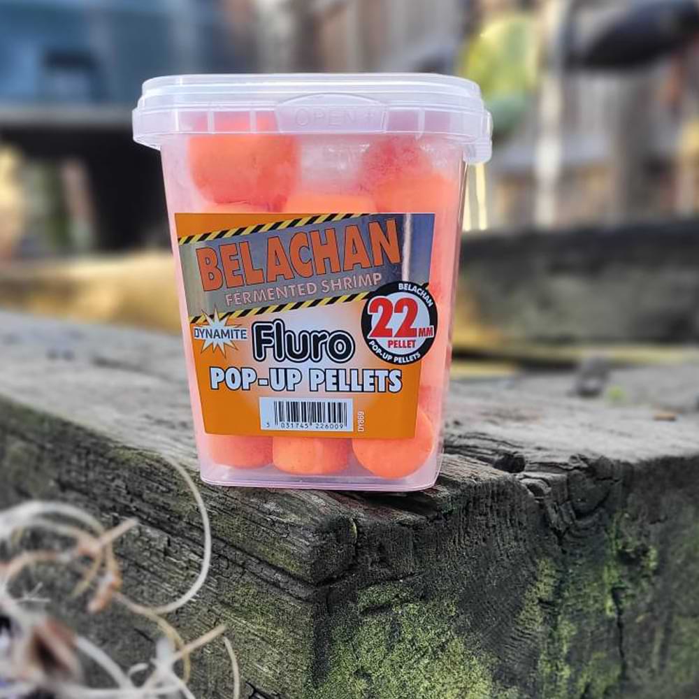 DYNAMITE BAITS Belachan Catfish Fluro Pop-Up Pellets 22mm