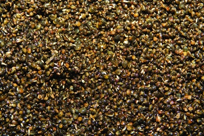 DYNAMITE BAITS Frenzied Hempseed Natural Can