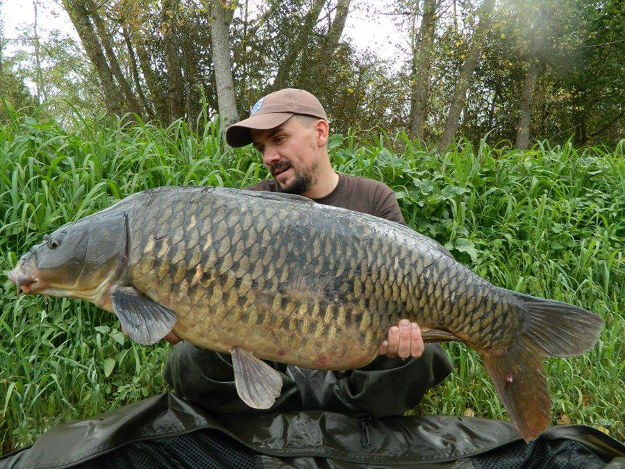 DYNAMITE BAITS The Source Concentrate Dip 100ml