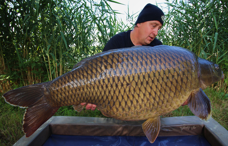 DYNAMITE BAITS Hot Fish and GLM Boilie 26mm 350g