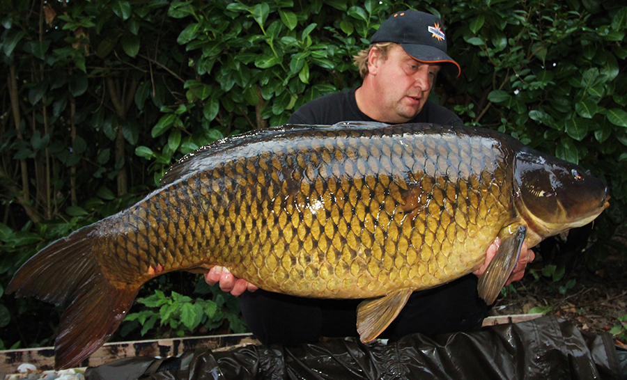 DYNAMITE BAITS Hot Fish and GLM Foodbait Pop Up