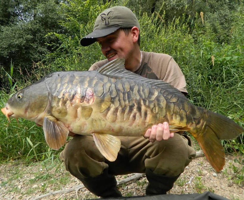 DYNAMITE BAITS Mulberry Plum Boilies 1kg