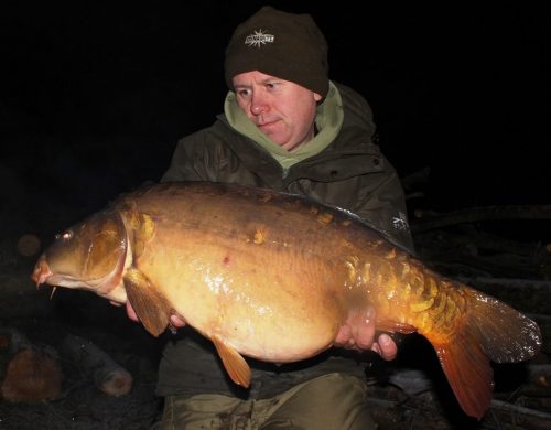 DYNAMITE BAITS Mulberry and Plum Foodbait Pop Up 15mm