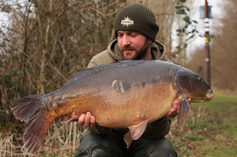 DYNAMITE BAITS CompleX-T Concentrate Dip 100ml