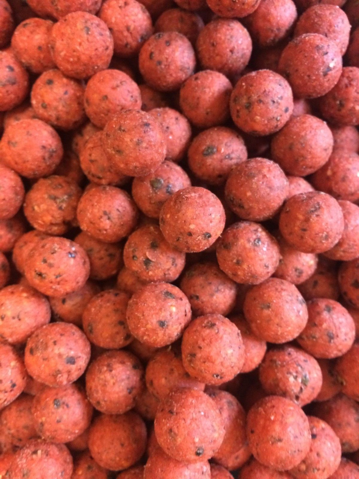 DYNAMITE BAITS Tutti Frutti Carp Tec Boilies 20mm