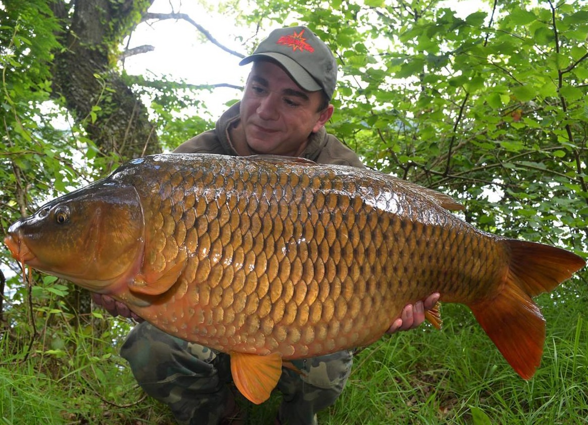 DYNAMITE BAITS Robin Red Boilies 1.8kg