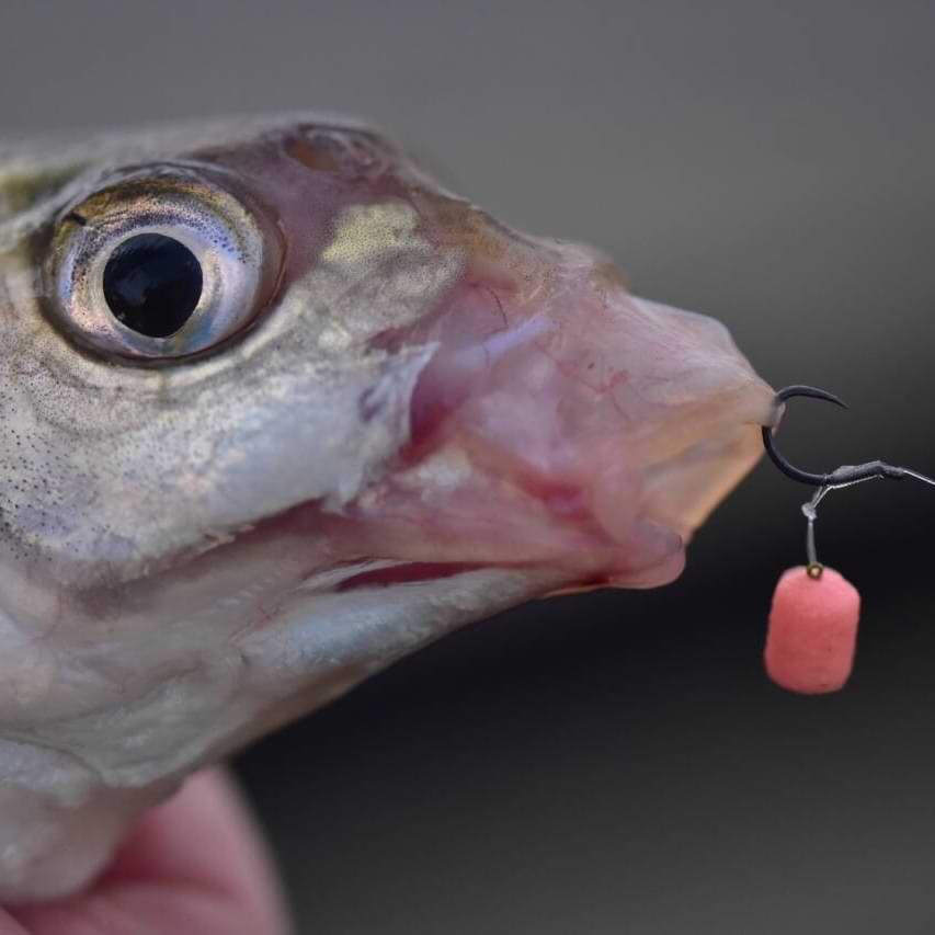 DYNAMITE BAITS Mini Hookbaits Speedy's Wowser 3mm