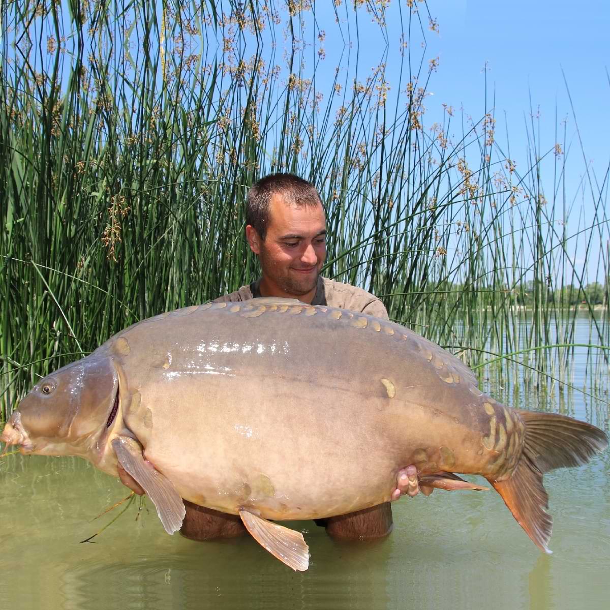 DYNAMITE BAITS The Source Hard Hookbaits 20mm