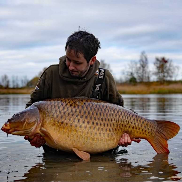 DYNAMITE BAITS Sweet Tiger and Corn Hard Hookbaits 20mm