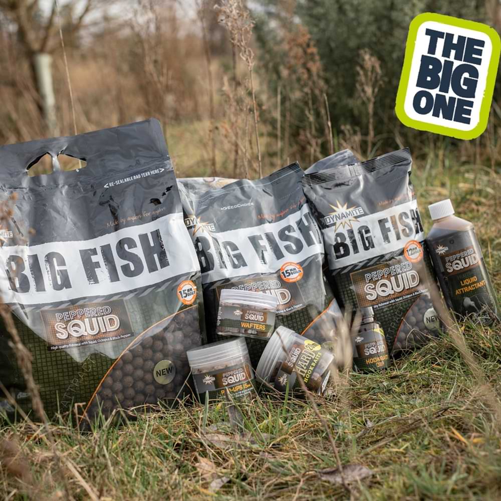 DYNAMITE BAITS Peppered Squid Foodbait Pop-ups 15mm