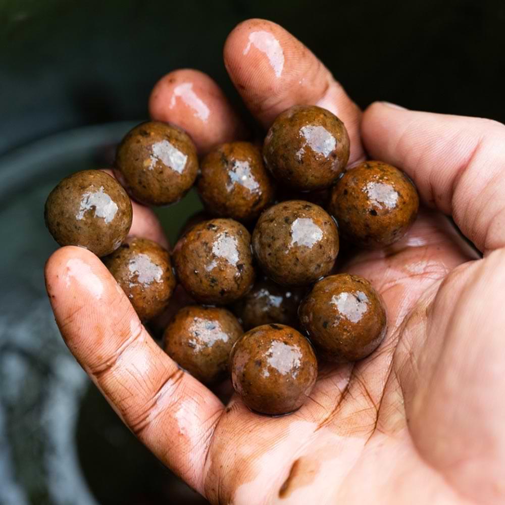 DYNAMITE BAITS Peppered Squid Hard Hookbaits 20mm