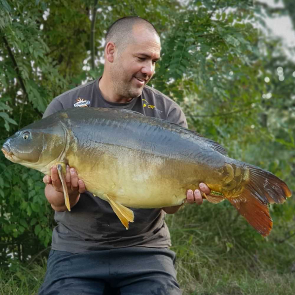 DYNAMITE BAITS Hot Crab and Krill Concentrate Dip 100ml