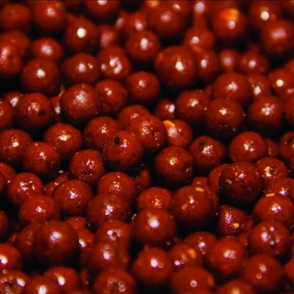 DYNAMITE BAITS Chocolate Orange Carp Tec Boilies 20mm 1.8kg