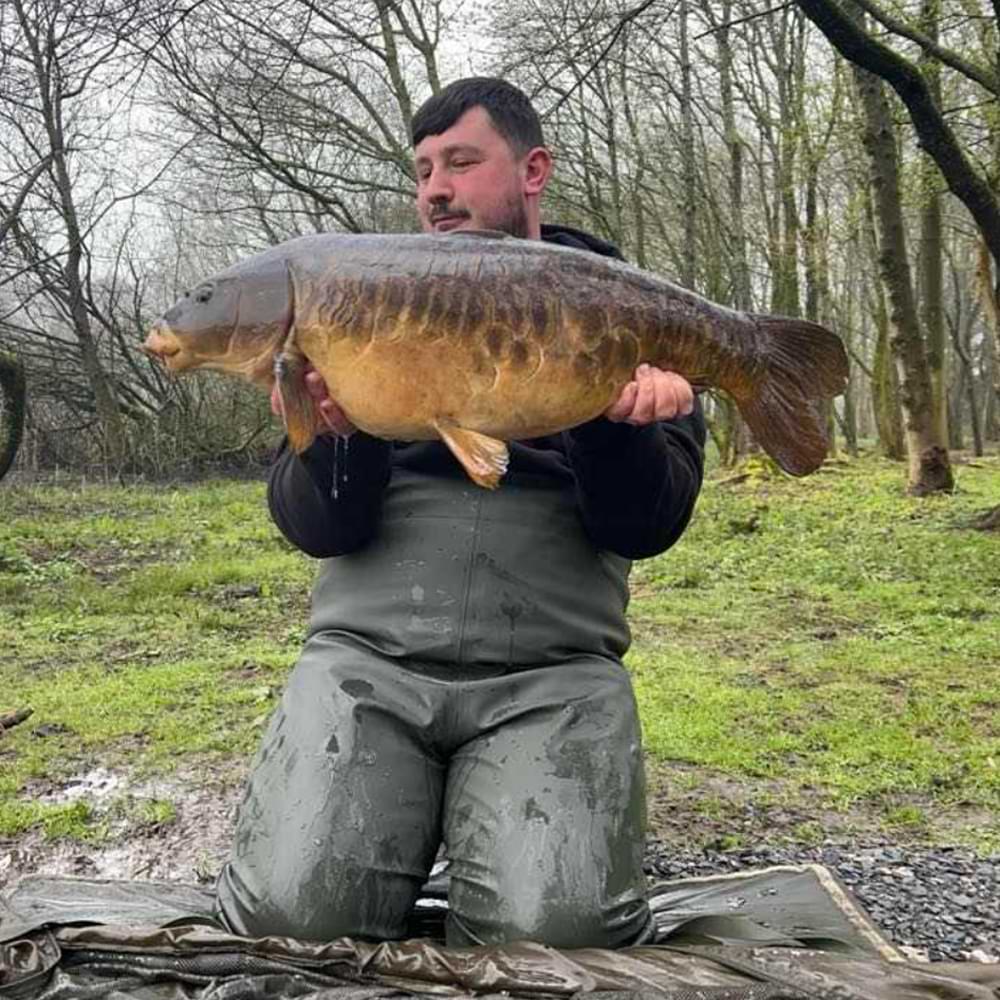 DYNAMITE BAITS N-Ticers Zig Hookbaits Black & Blue