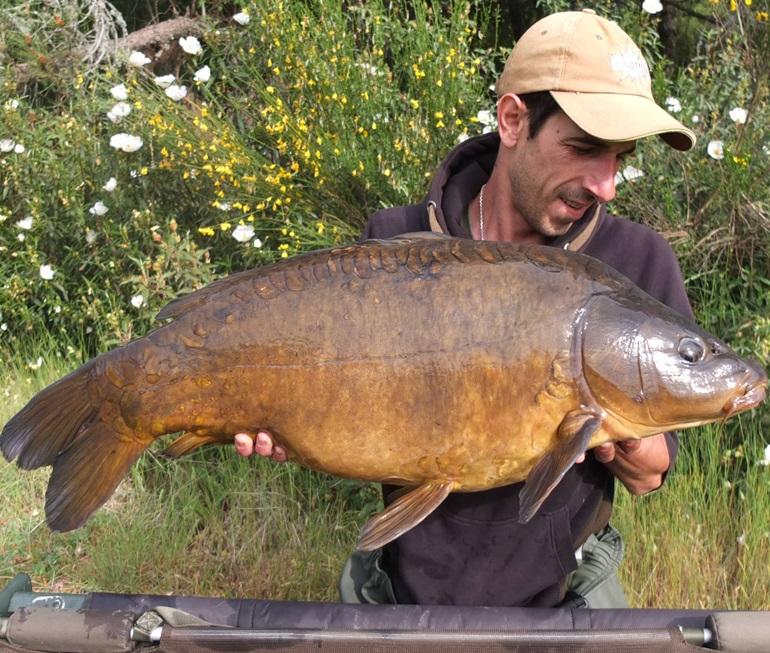 DYNAMITE BAITS Monster Tiger Nut Boilies 1kg