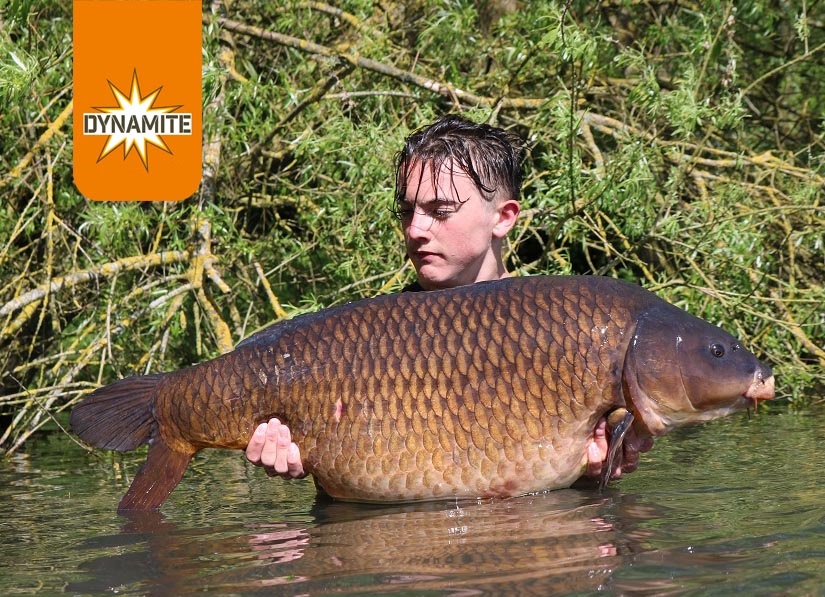 DYNAMITE BAITS Monster Tiger Nut Stick Mix 1kg