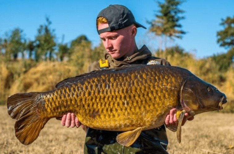 DYNAMITE BAITS The Crave Boilies 1kg