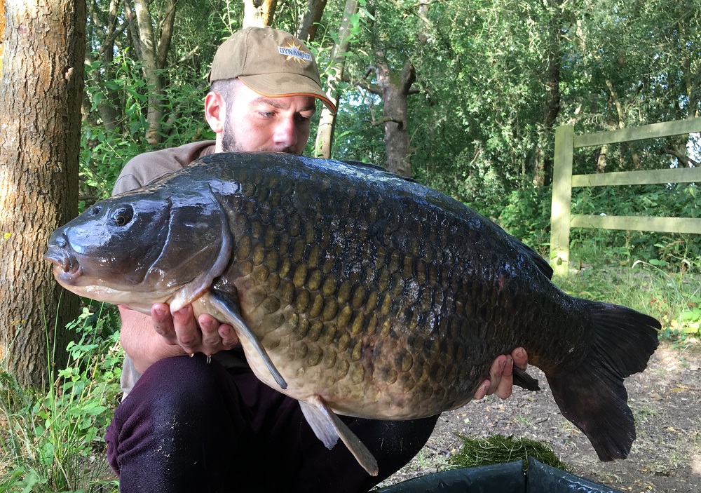 DYNAMITE BAITS Coconut Cream Fluro Pop-Up 20mm