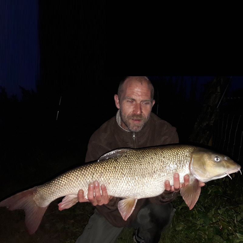 DYNAMITE BAITS Spicy Shrimp and Prawn Boilies 1kg