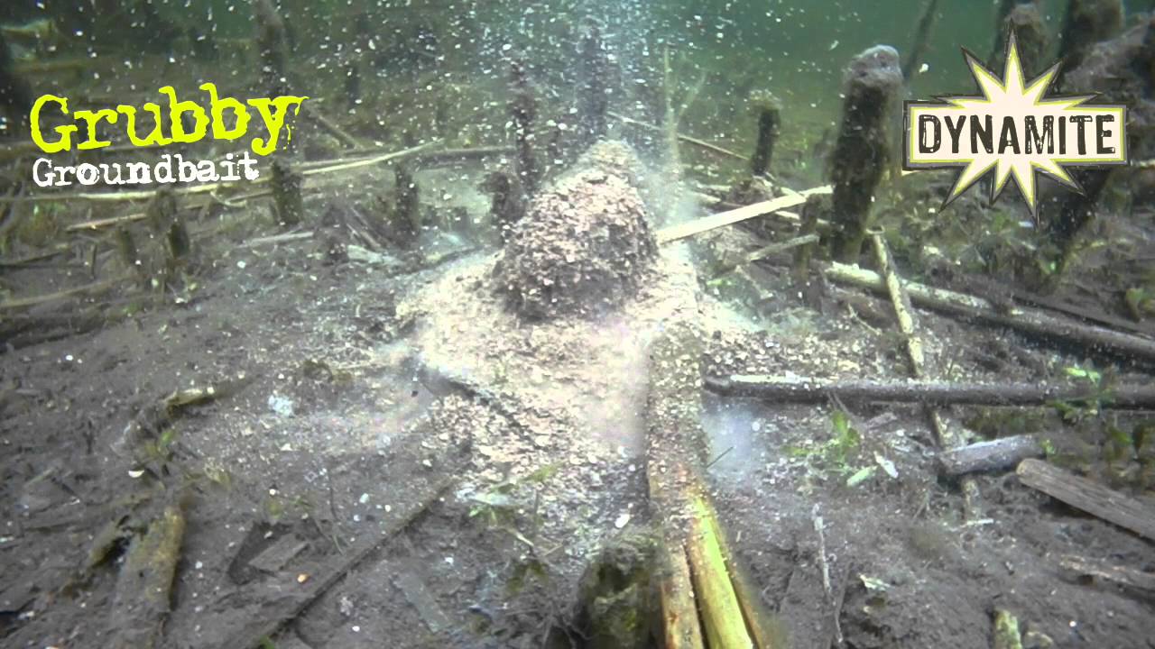 DYNAMITE BAITS Grubby Insect Carpet Feed 2kg