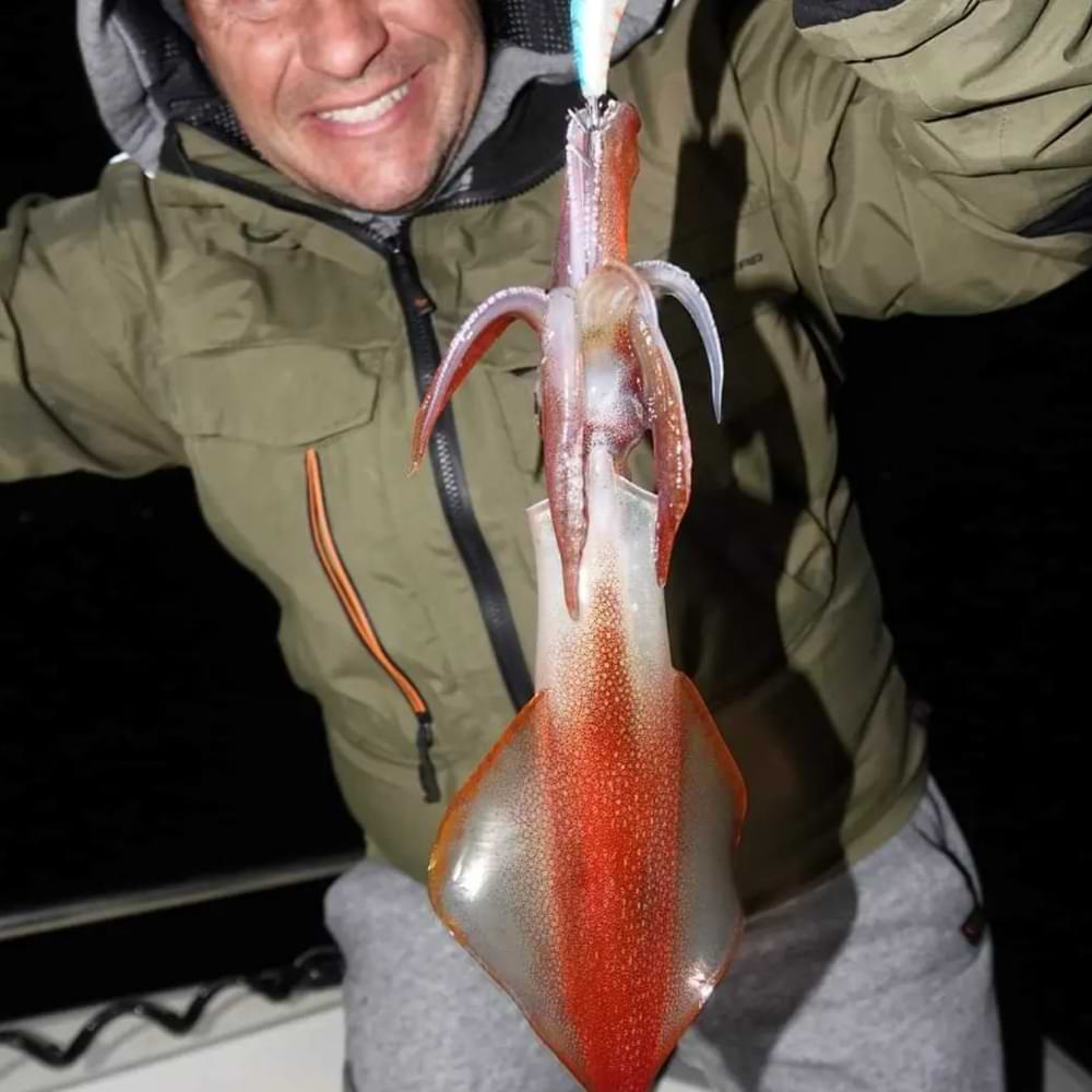 IGNESTI Totanara Gamberone Rivestito 3″