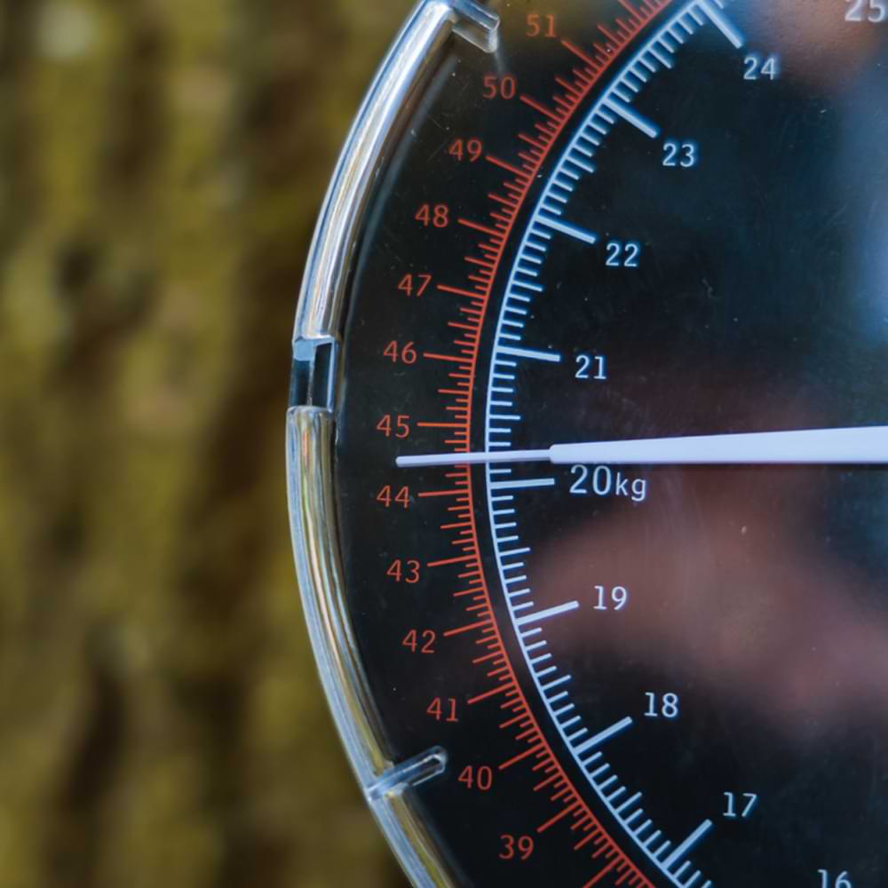 FOX Dial Scales 60lb/27kg