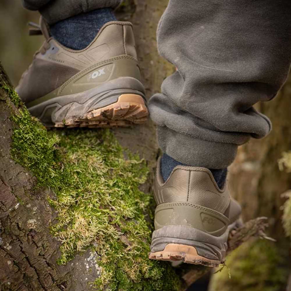 FOX Explorer Trainer