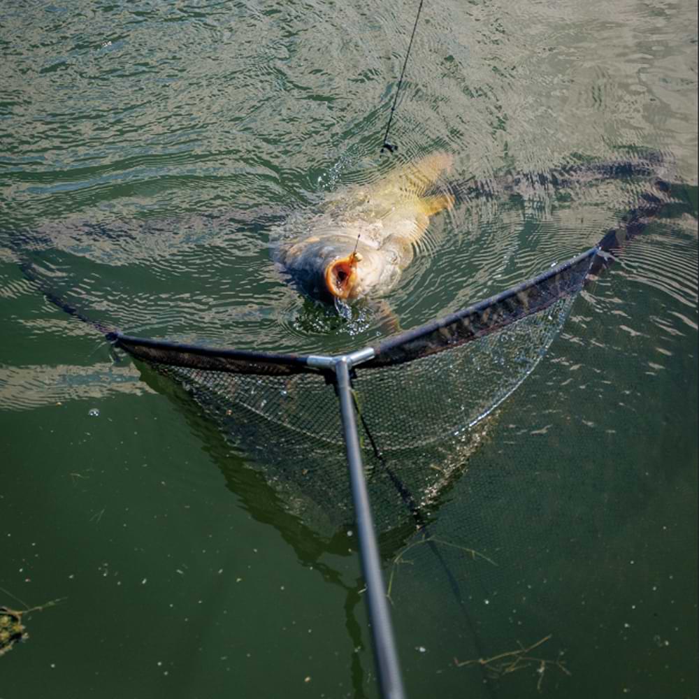 FOX Horizon X4-S 42" Explorer Landing Net