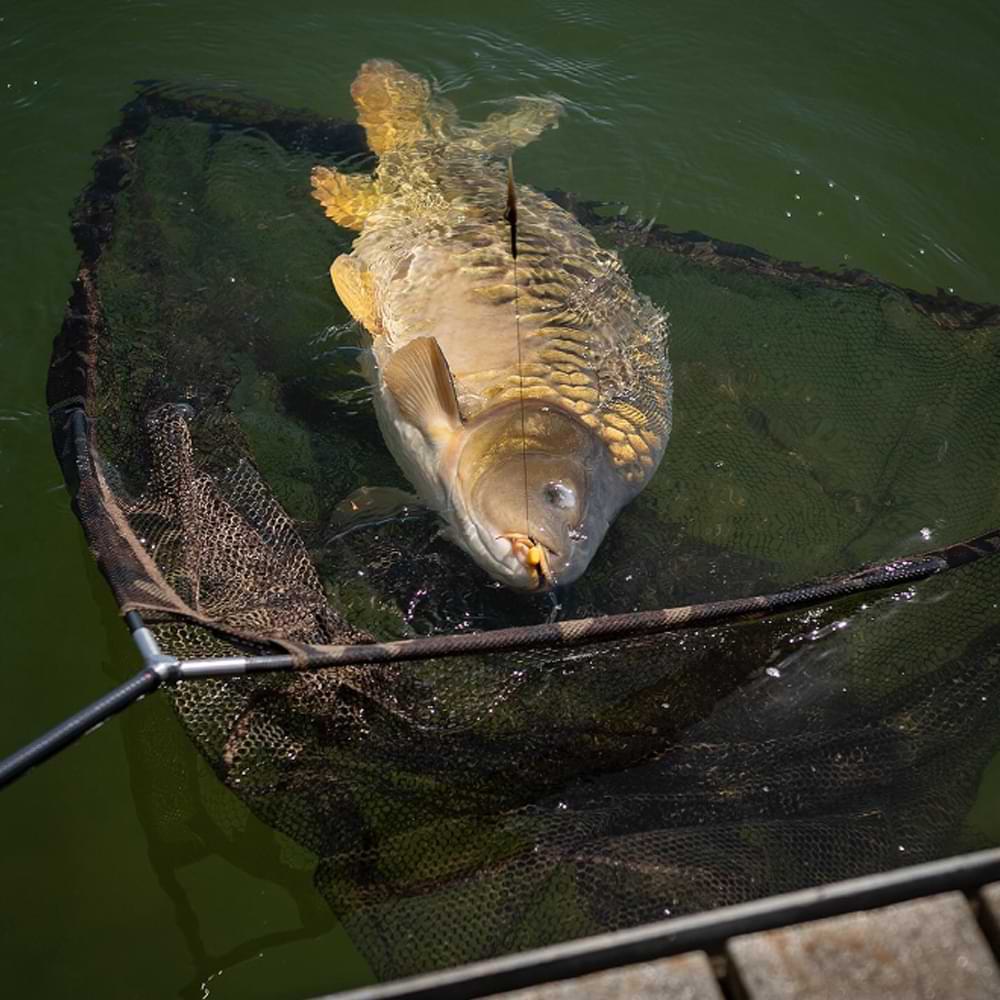 FOX Horizon X4-S 42" Explorer Landing Net